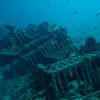 Picture taken during the dive