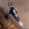 Picture taken during the dive