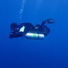 Picture taken during the dive
