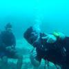 Picture taken during the dive