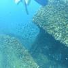 Picture taken during the dive