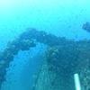 Picture taken during the dive