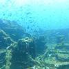 Picture taken during the dive