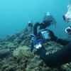 Picture taken during the dive