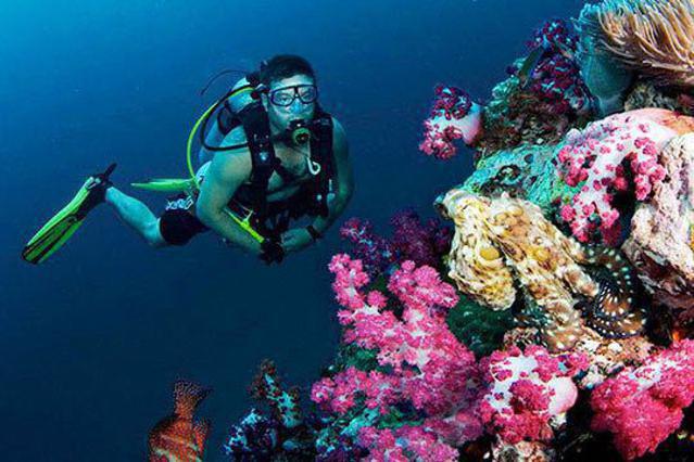 Harbor Dive Center - Dive Center in United States