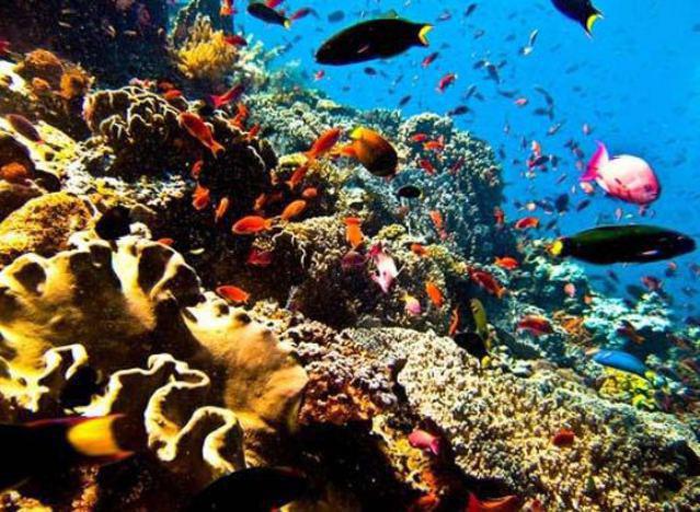 Harbor Dive Center - Dive Center in United States