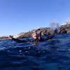 Picture taken during the dive