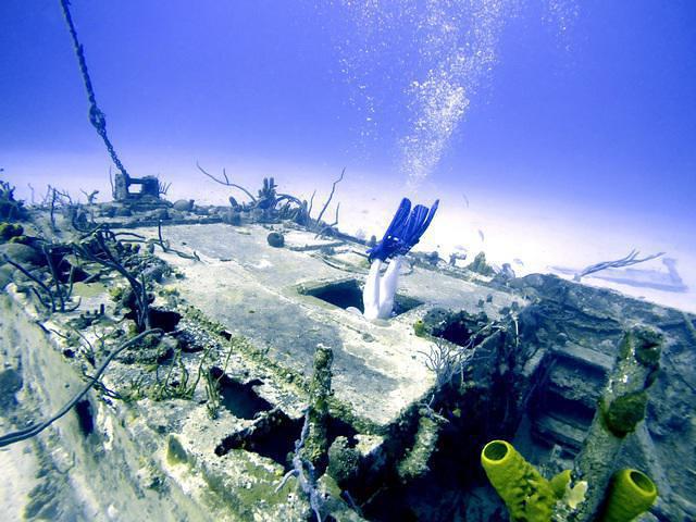 Sunset House - Dive Center in 开曼群岛