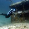Picture taken during the dive