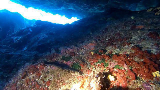 Diving in Greece, Mononaftis - By Tanek
