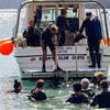 Picture taken during the dive
