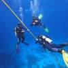Picture taken during the dive