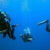 Picture taken during the dive