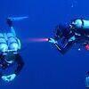 Picture taken during the dive