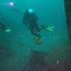 Picture taken during the dive