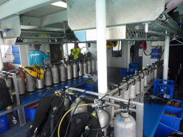 SilverSwift - Dive Center in Australia