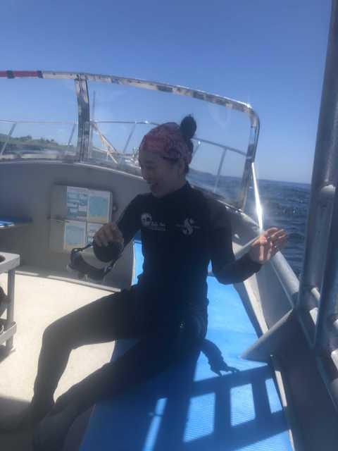 Bali Hai Diving Adventures - Dive Center in United States