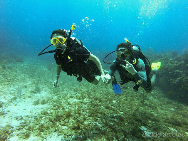 Subway Watersports - Dive Center in Honduras