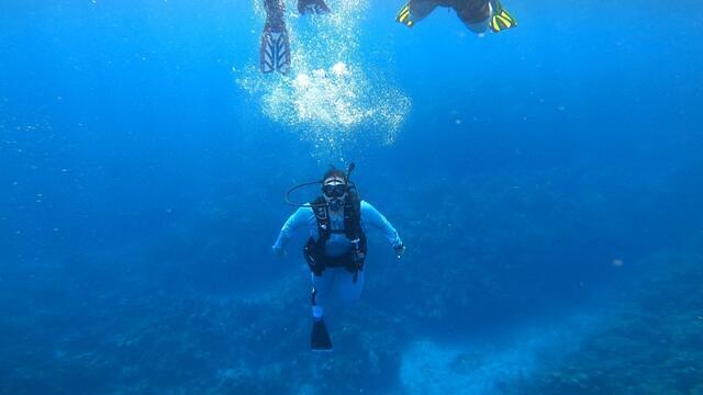 Diving in Honduras, Roatan - By Mr.Red