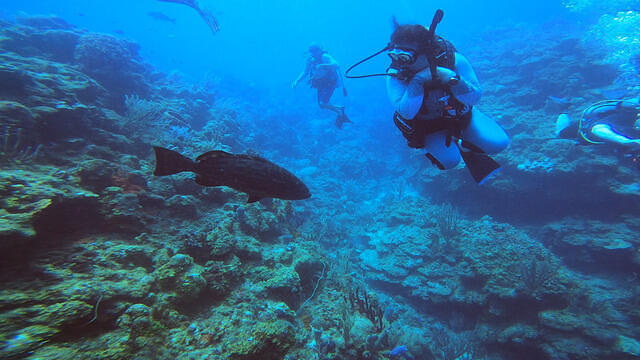 Diving in Honduras, Roatan - By Mr.Red