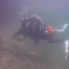 Picture taken during the dive