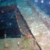 Picture taken during the dive