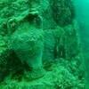 Picture taken during the dive
