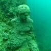Picture taken during the dive