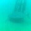 Picture taken during the dive