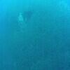 Picture taken during the dive