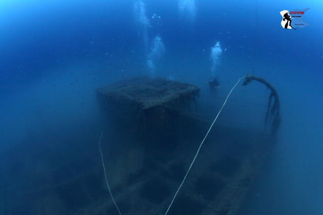 Blue Dolphin - Dive Center in France