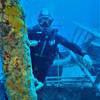 Picture taken during the dive