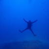 Picture taken during the dive