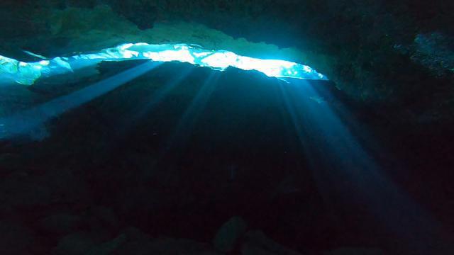 Dive Mike - Dive Center in Mexico