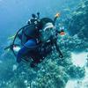 Picture taken during the dive