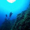 Picture taken during the dive