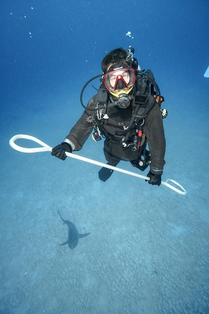 Scuba Playa - Dive Center in Mexico