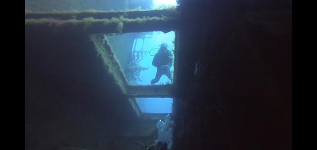 Diving in Cyprus, larnaca - By Wiktor