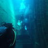 Picture taken during the dive