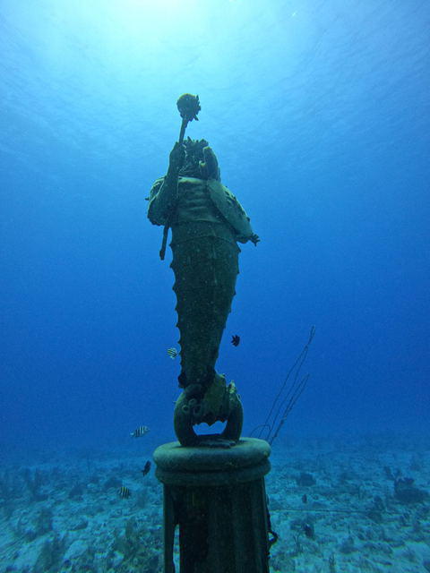 Divetech, Ltd. - Dive Center in Îles Caïmans