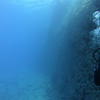 Picture taken during the dive