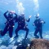 Picture taken during the dive