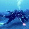Picture taken during the dive