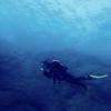 Picture taken during the dive