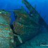 Picture taken during the dive