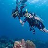 Picture taken during the dive
