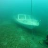 Picture taken during the dive