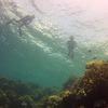 Picture taken during the dive