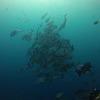 Picture taken during the dive