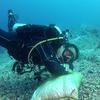 Picture taken during the dive